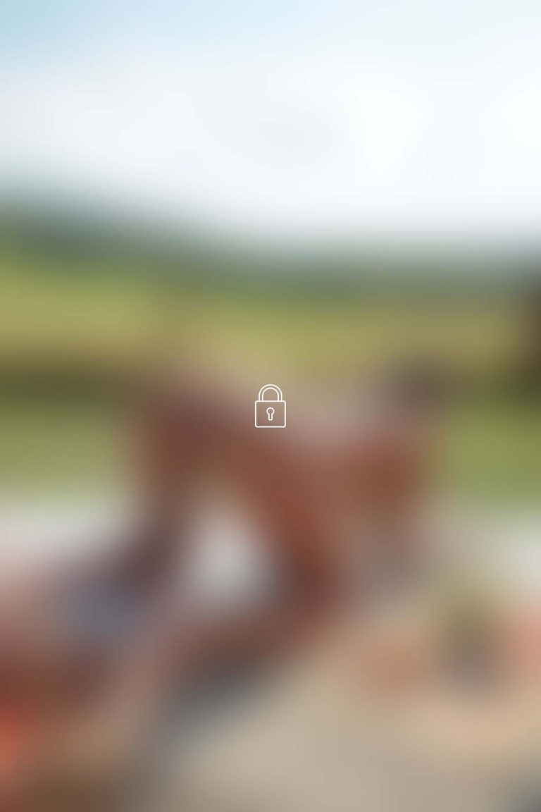 putri cinta 401 photoset 0035 BLUR