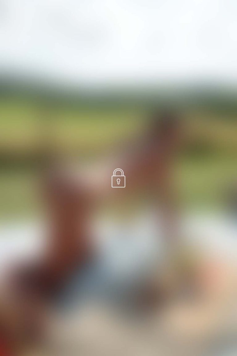 putri cinta 401 photoset 0036 BLUR